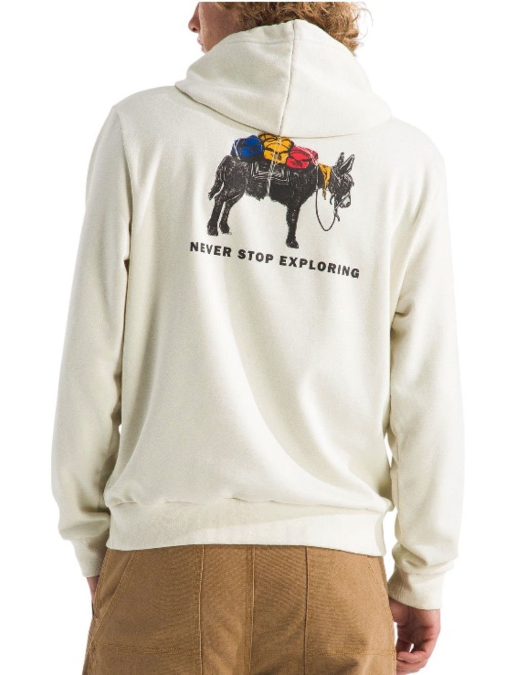 The North Face Men's Evolution Pack Graphic Hoodie